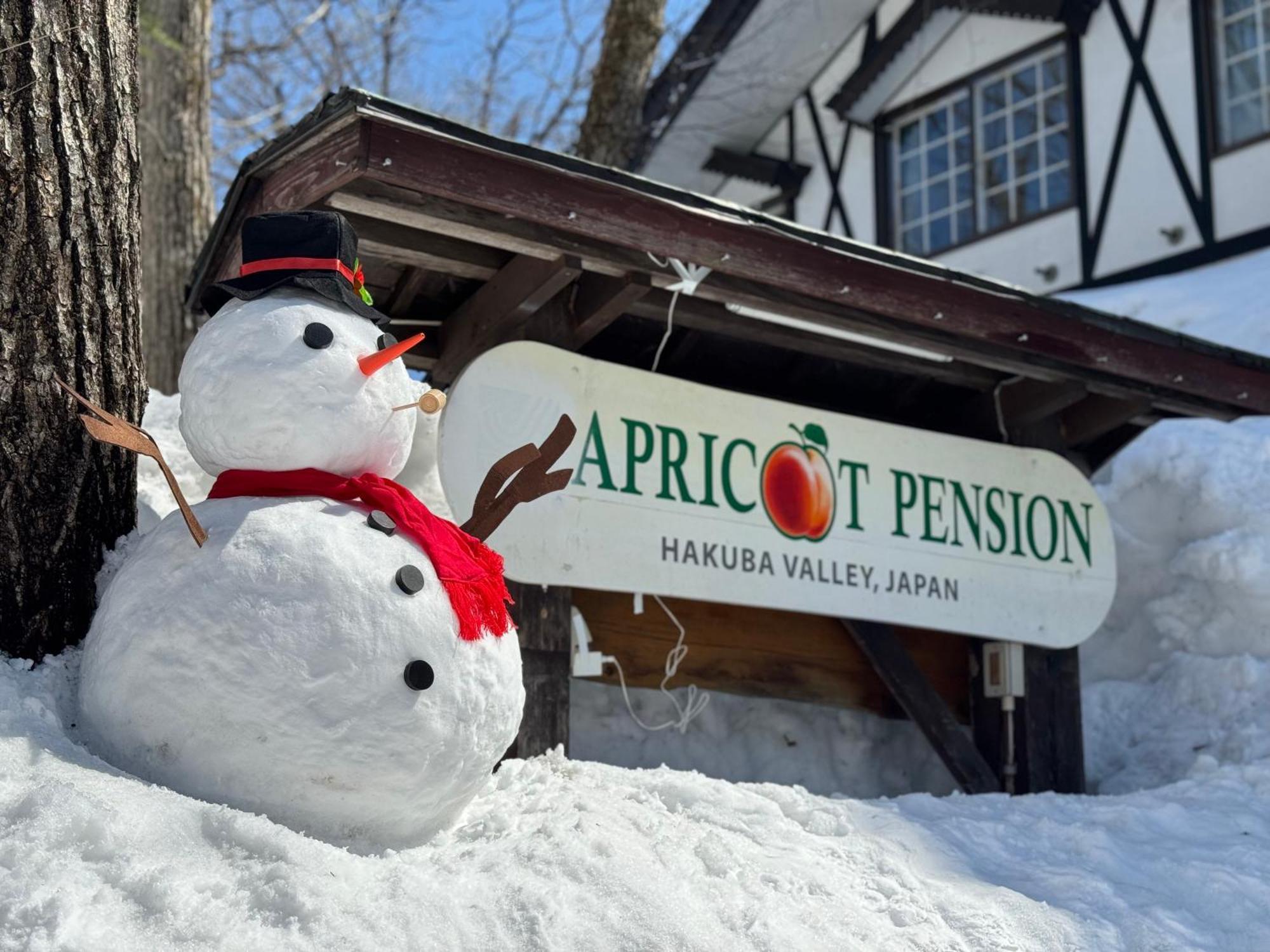 Apricot Pension Хакуба Екстериор снимка